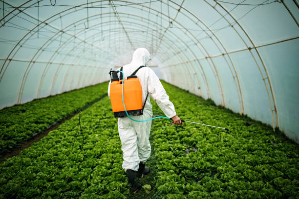 Best Emergency Pest Control  in San Ysidro, NM