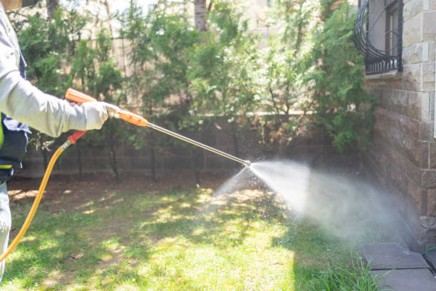 Best Commercial Pest Control Services  in San Ysidro, NM