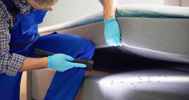 Best Bed Bug Extermination  in San Ysidro, NM
